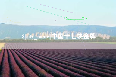 寿光中国十七块金牌