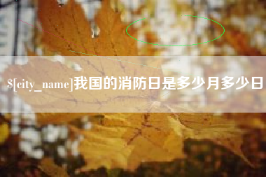 寿光我国的消防日是多少月多少日