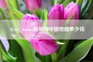寿光新版的中国地图多少钱
