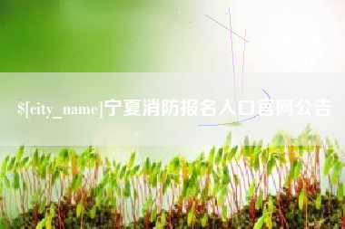 寿光宁夏消防报名入口官网公告