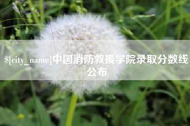寿光中国消防救援学院录取分数线公布