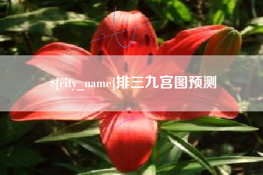 寿光排三九宫图预测