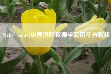 寿光中国消防救援学院历年分数线