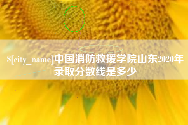 寿光中国消防救援学院山东2020年录取分数线是多少