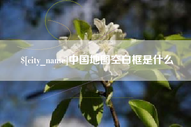寿光中国地图空白框是什么