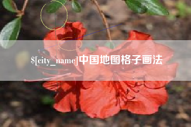 寿光中国地图格子画法