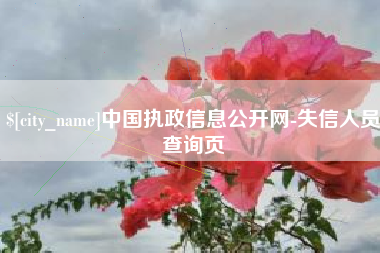 寿光中国执政信息公开网-失信人员查询页