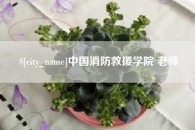 寿光中国消防救援学院 老师