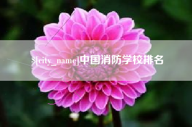 寿光中国消防学校排名