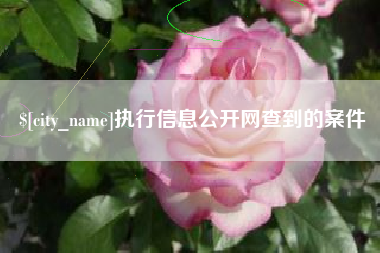 寿光执行信息公开网查到的案件