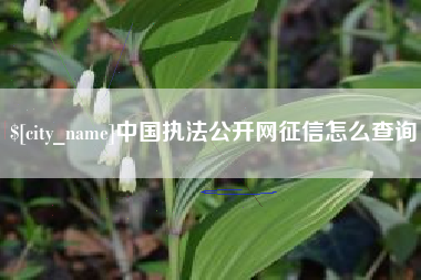 寿光中国执法公开网征信怎么查询