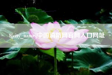 寿光中国消防网官网入口网址