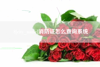 寿光消防证怎么查询系统