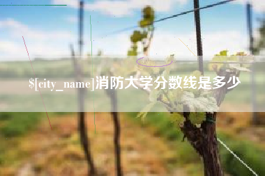 寿光消防大学分数线是多少
