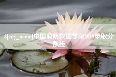 寿光中国消防救援学院2019录取分数线