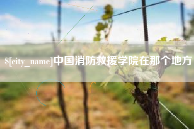 寿光中国消防救援学院在那个地方