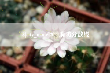 寿光2021消防分数线