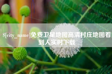寿光免费卫星地图高清村庄地图看到人实时下载