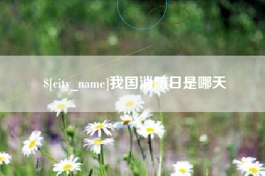 寿光我国消防日是哪天