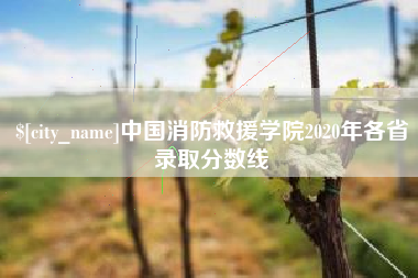寿光中国消防救援学院2020年各省录取分数线