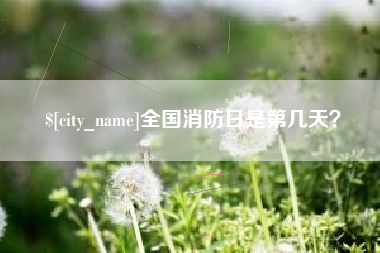 寿光全国消防日是第几天？