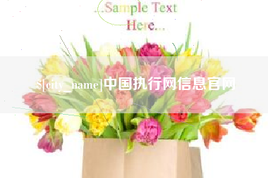 寿光中国执行网信息官网