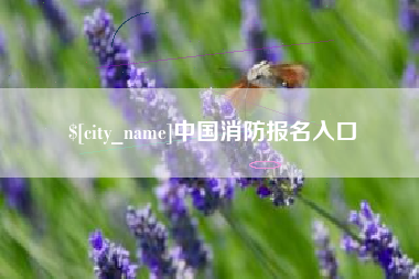 寿光中国消防报名入口