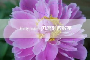 寿光九宫对应数字