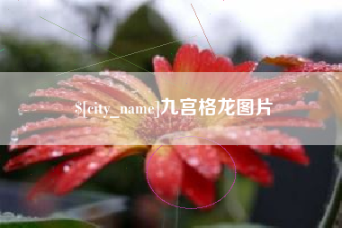寿光九宫格龙图片