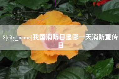 寿光我国消防日是哪一天消防宣传日