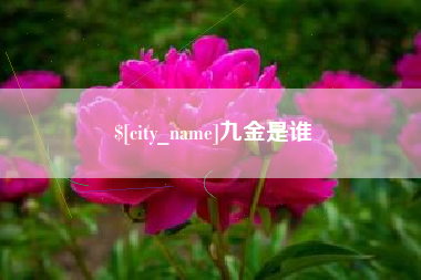寿光九金是谁