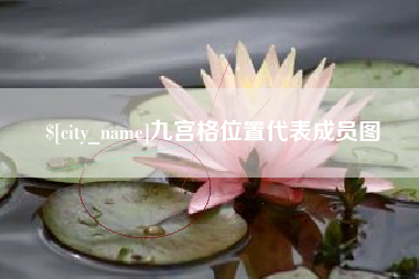 寿光九宫格位置代表成员图