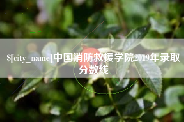 寿光中国消防救援学院2019年录取分数线