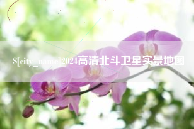 寿光2024高清北斗卫星实景地图