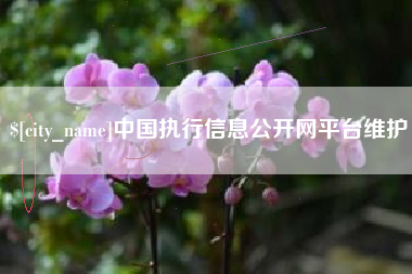 寿光中国执行信息公开网平台维护
