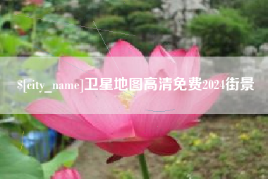寿光卫星地图高清免费2024街景