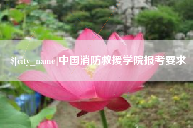 寿光中国消防救援学院报考要求