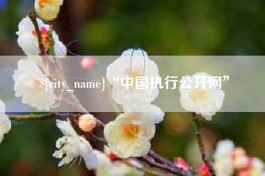 寿光“中国执行公开网”