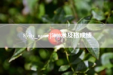 寿光5000米及格成绩