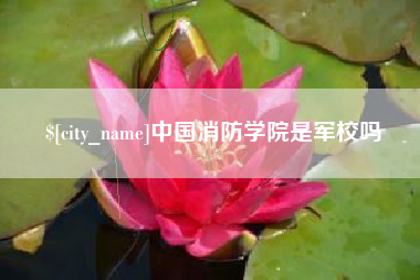 寿光中国消防学院是军校吗
