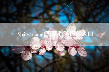 寿光国家消防报名入口