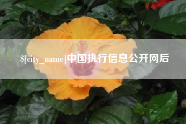 寿光中国执行信息公开网后