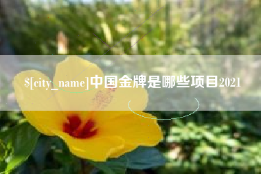 寿光中国金牌是哪些项目2021