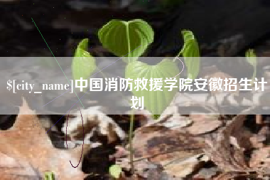 寿光中国消防救援学院安徽招生计划