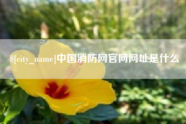 寿光中国消防网官网网址是什么
