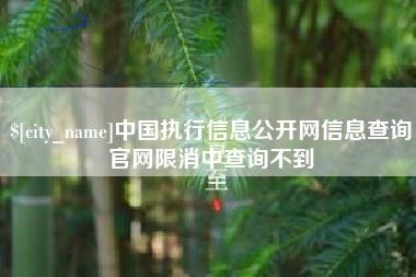 寿光中国执行信息公开网信息查询官网限消中查询不到