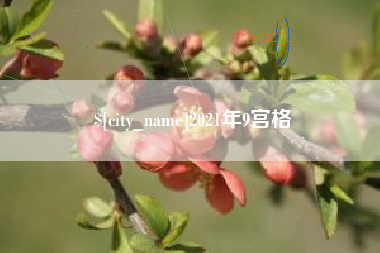 寿光2021年9宫格