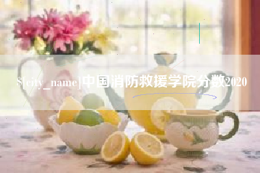 寿光中国消防救援学院分数2020
