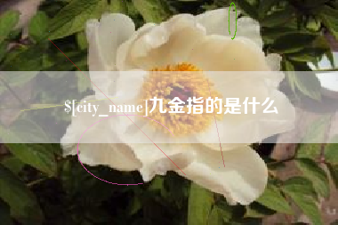 寿光九金指的是什么