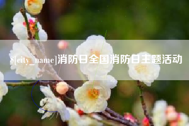 寿光消防日全国消防日主题活动